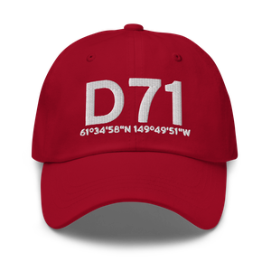 Big Lake (D71) Airport Hat