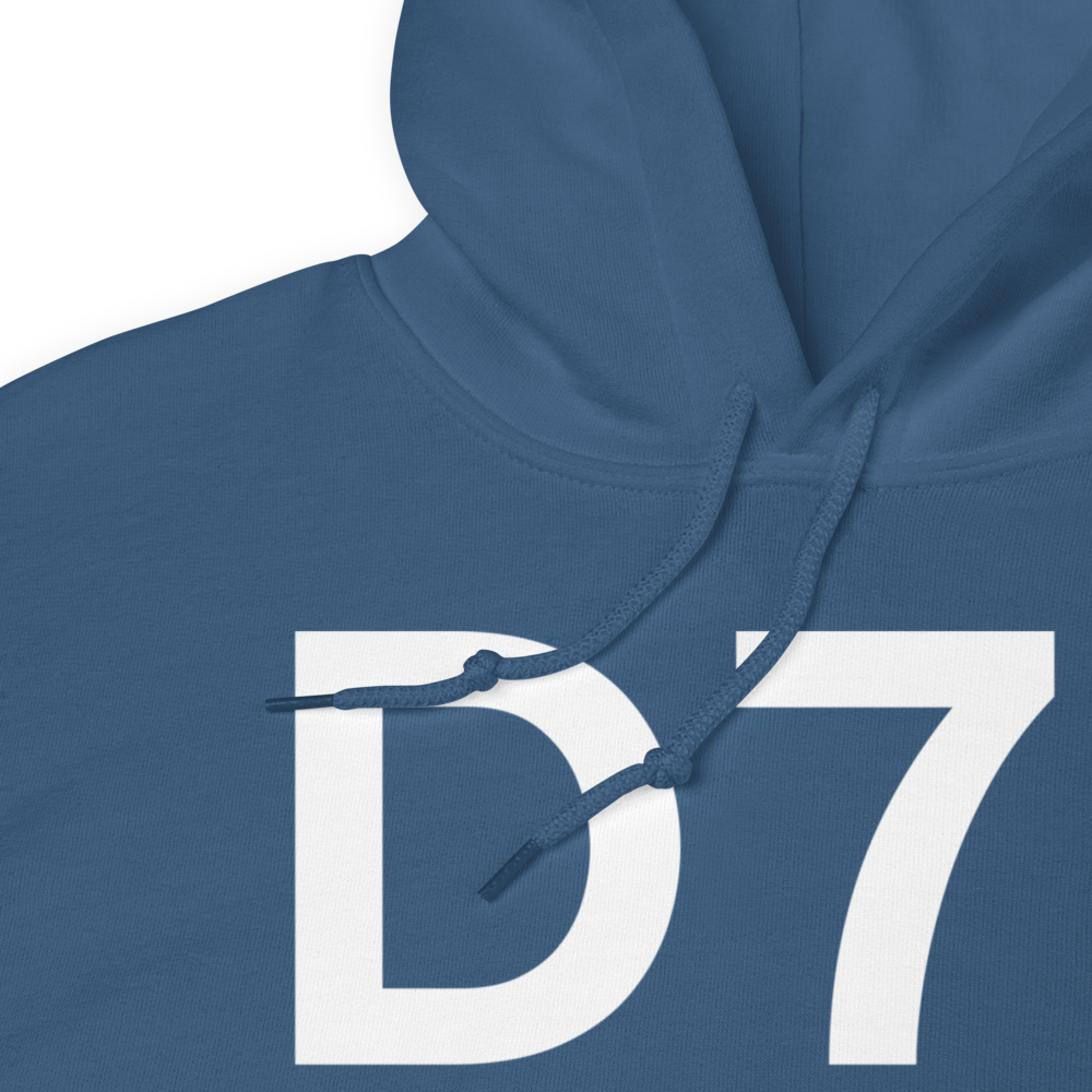 Big Lake (D71) Airport Hoodie Sweatshirt 