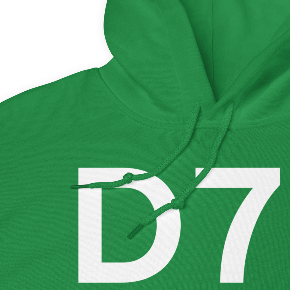 Big Lake (D71) Airport Hoodie Sweatshirt 