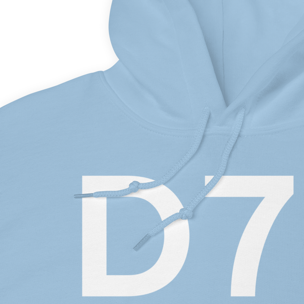 Big Lake (D71) Airport Hoodie Sweatshirt 