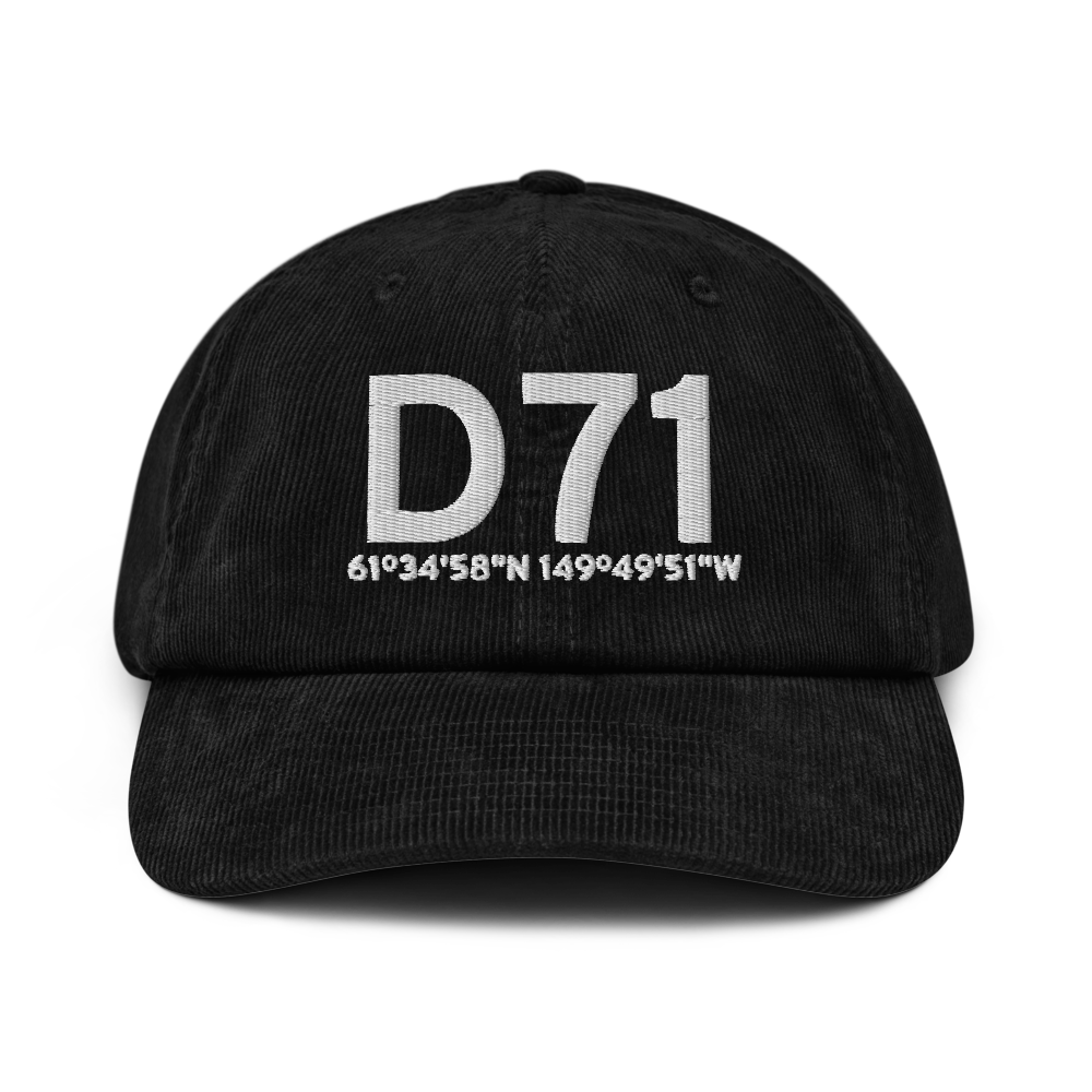 Big Lake (D71) Airport Hat 