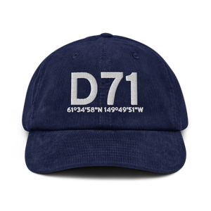 Big Lake (D71) Airport Hat