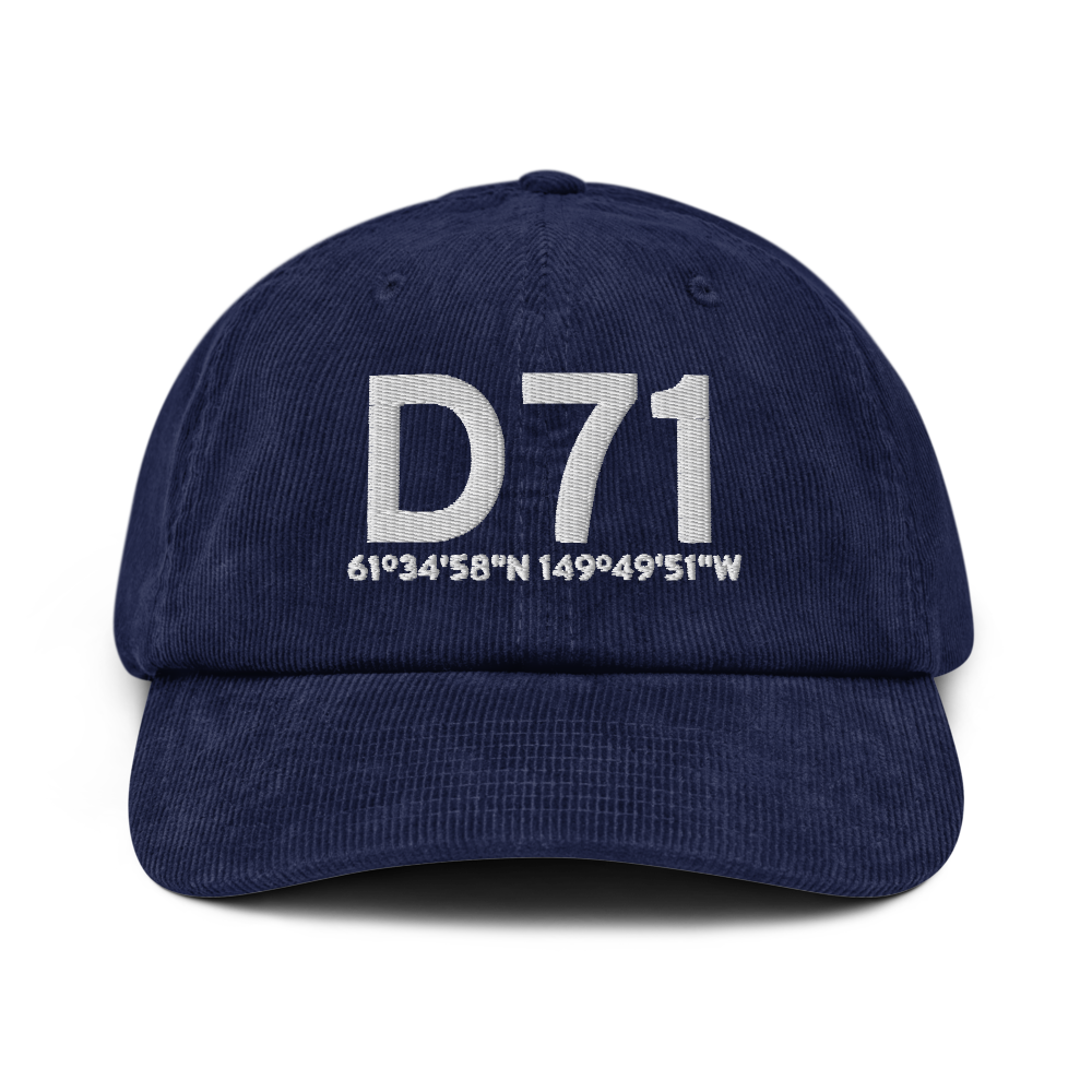 Big Lake (D71) Airport Hat 