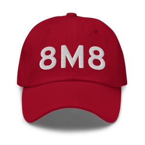 Lewiston (K8M8) Airport Hat