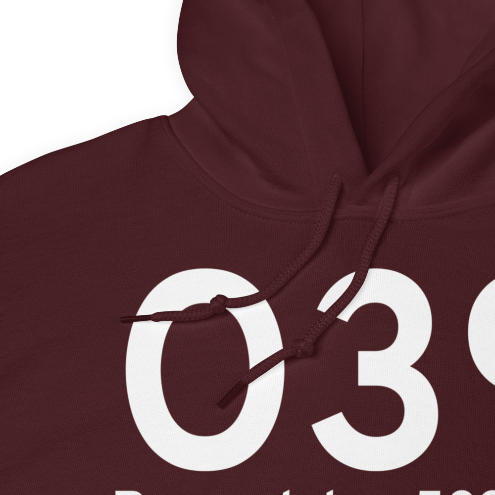 Ravendale (O39) Airport Hoodie Sweatshirt 