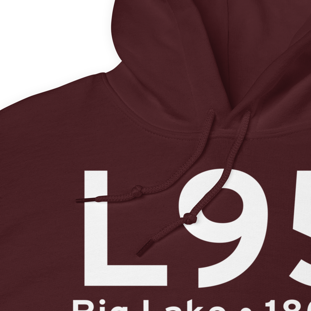 Big Lake (L95) Airport Hoodie Sweatshirt 
