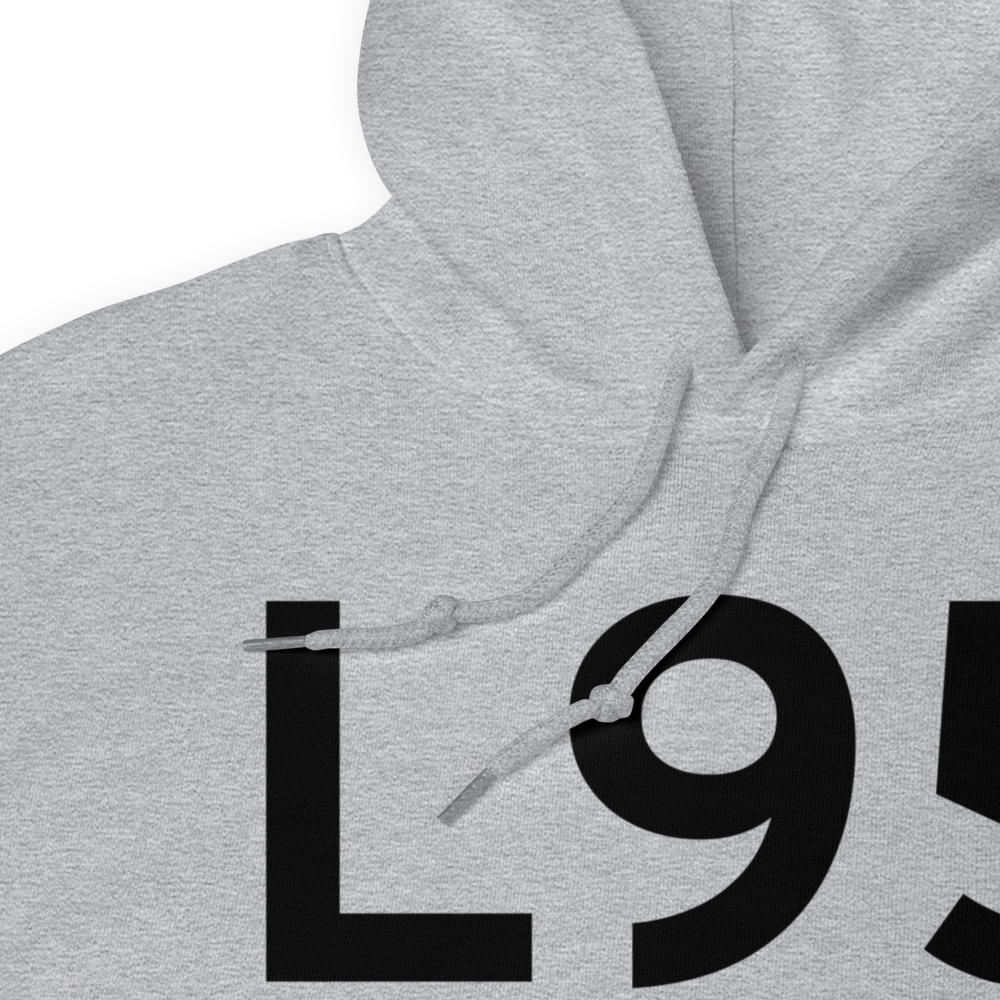 Big Lake (L95) Airport Hoodie Sweatshirt 