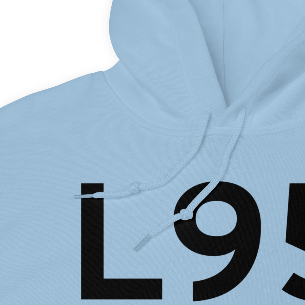 Big Lake (L95) Airport Hoodie Sweatshirt 