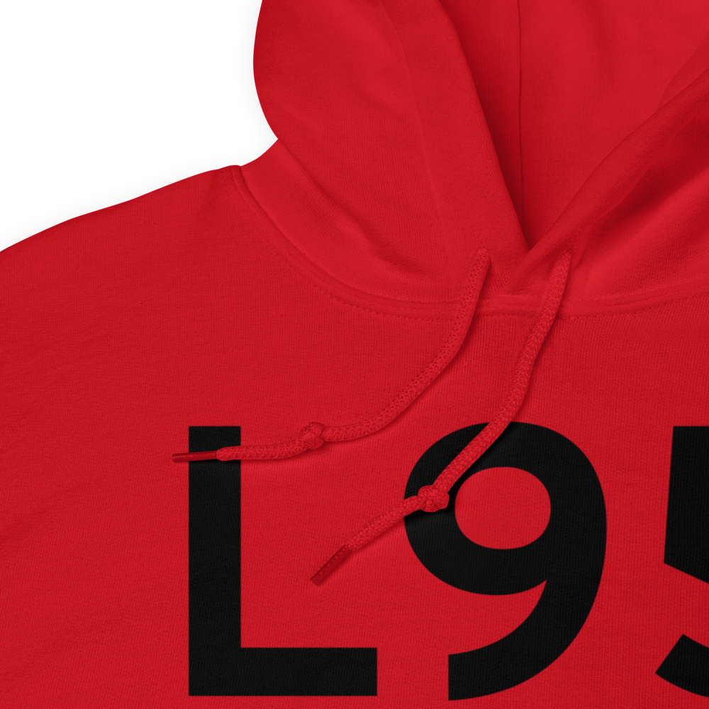 Big Lake (L95) Airport Hoodie Sweatshirt 