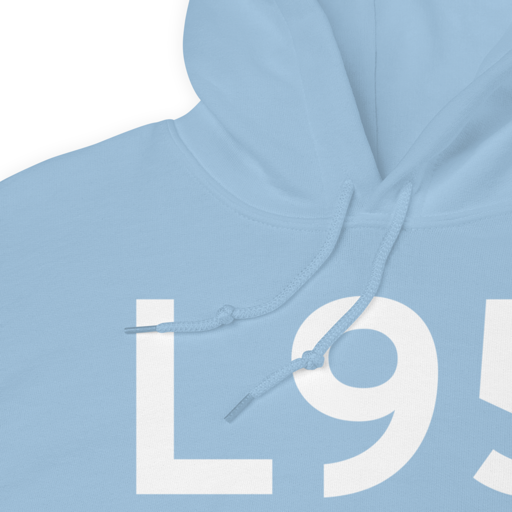 Big Lake (L95) Airport Hoodie Sweatshirt 