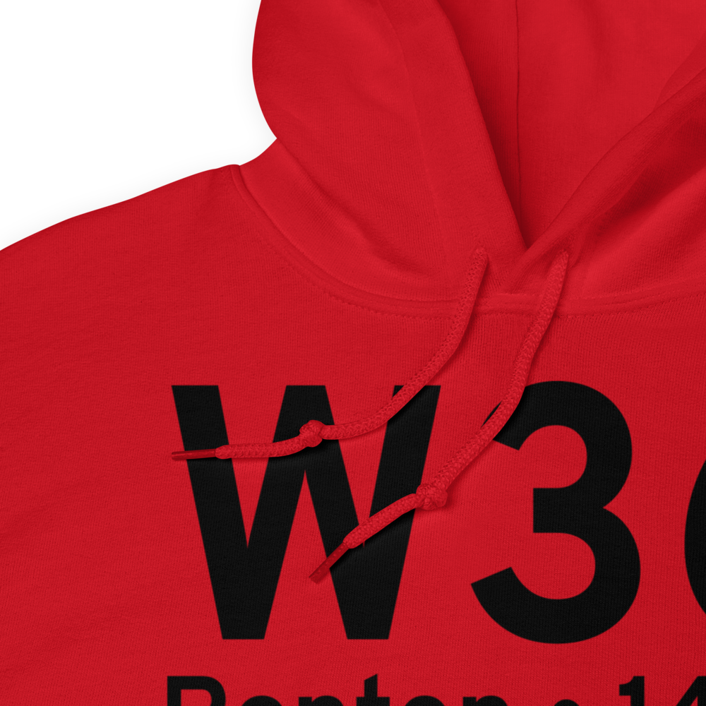 Renton (W36) Airport Hoodie Sweatshirt 