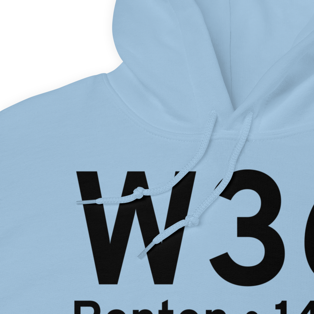 Renton (W36) Airport Hoodie Sweatshirt 