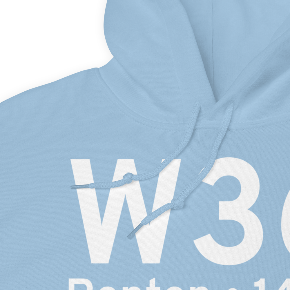 Renton (W36) Airport Hoodie Sweatshirt 