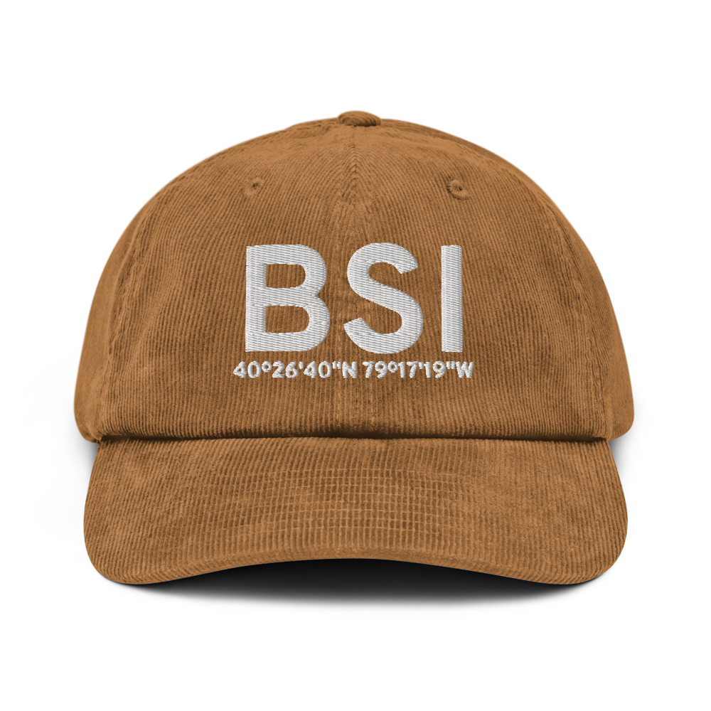 Blairsville (BSI) Airport Hat 
