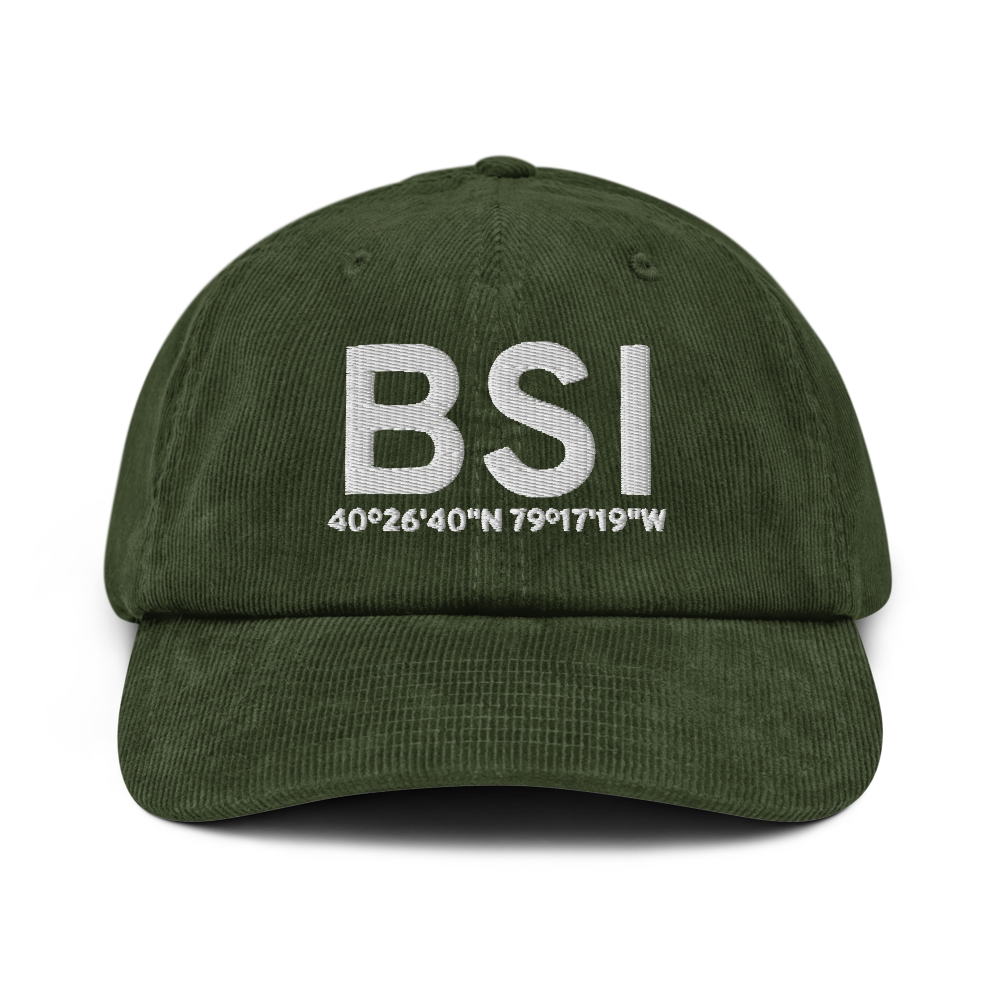 Blairsville (BSI) Airport Hat 