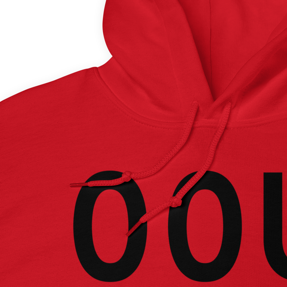 Hardin (US-0597) Airport Hoodie Sweatshirt 