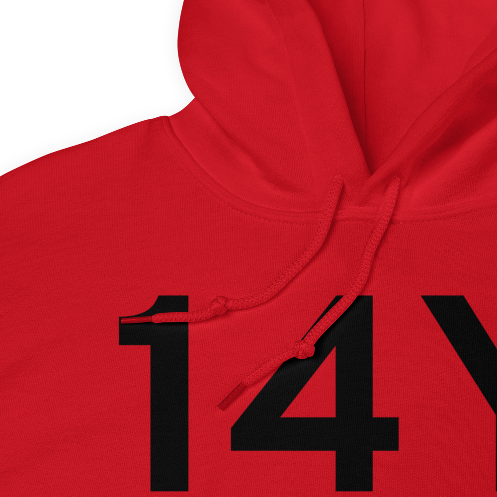 Long Prairie (K14Y) Airport Hoodie Sweatshirt 