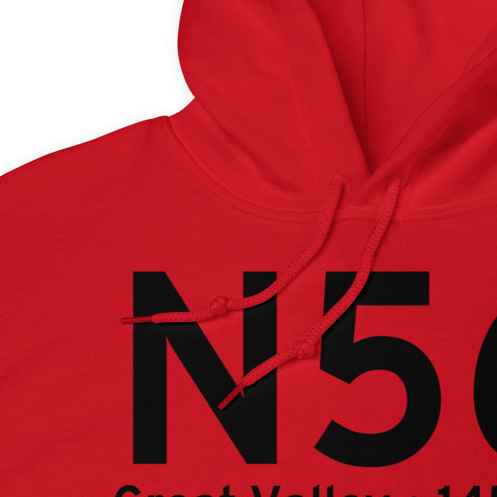 Great Valley (N56) Airport Hoodie Sweatshirt 