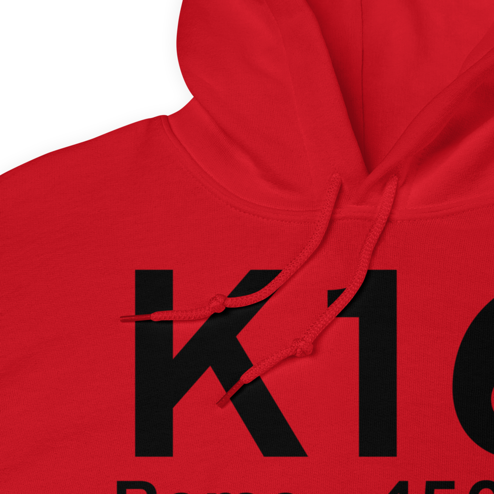 Rome (KK16) Airport Hoodie Sweatshirt 