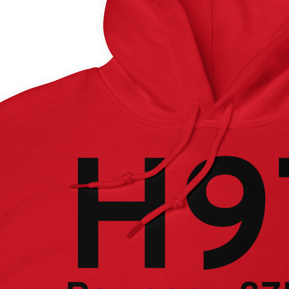 Pawnee (H97) Airport Hoodie Sweatshirt 