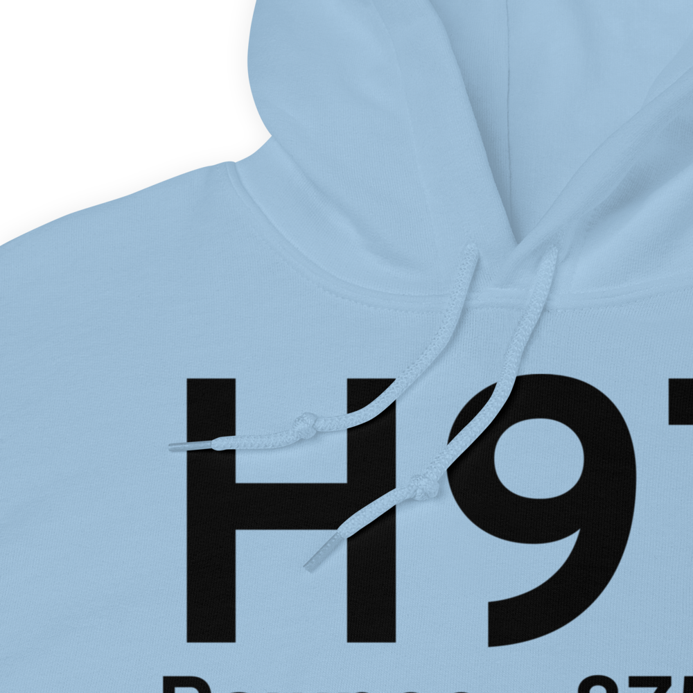 Pawnee (H97) Airport Hoodie Sweatshirt 