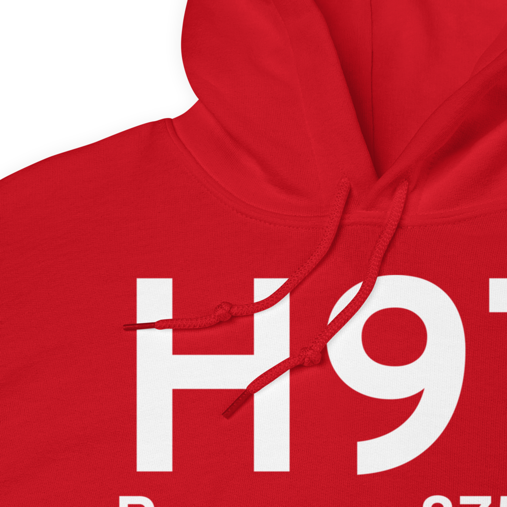 Pawnee (H97) Airport Hoodie Sweatshirt 