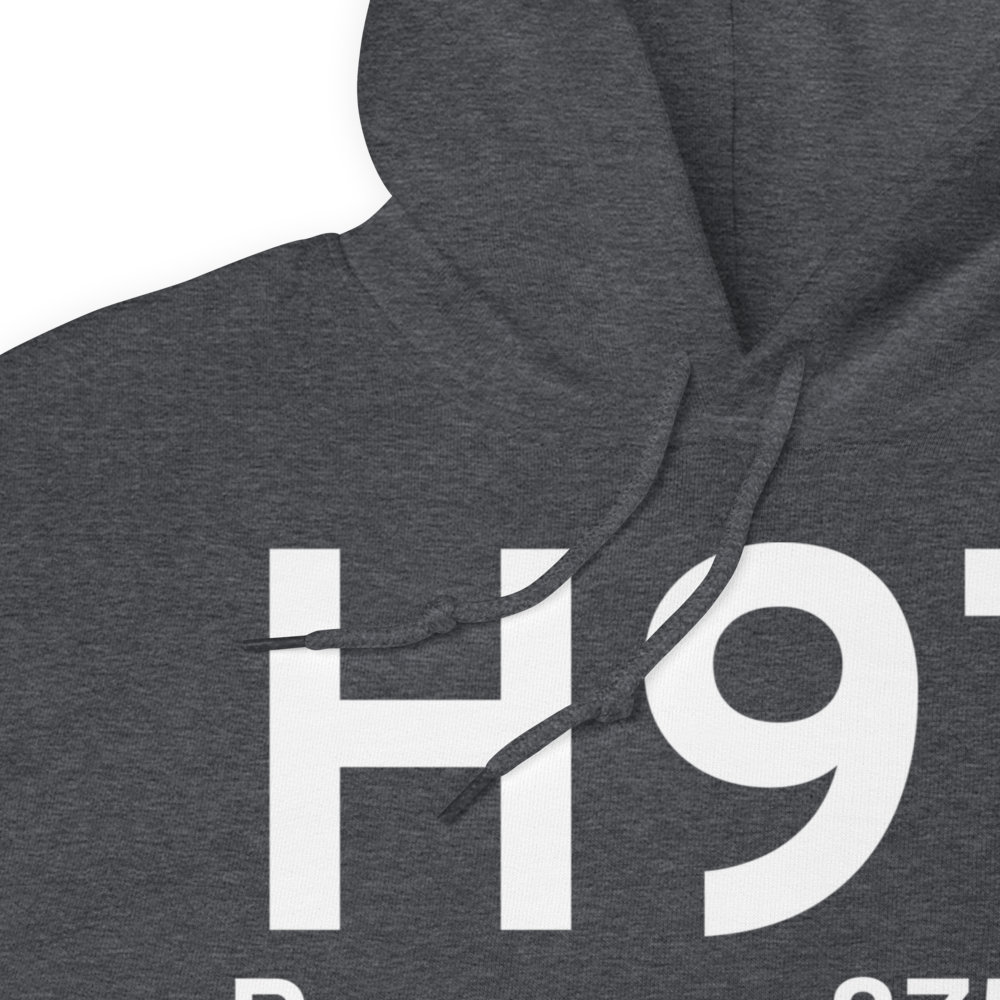 Pawnee (H97) Airport Hoodie Sweatshirt 