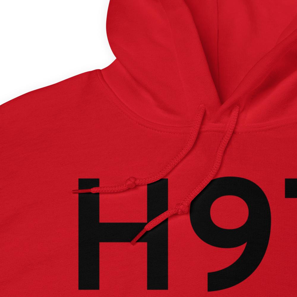 Pawnee (H97) Airport Hoodie Sweatshirt 