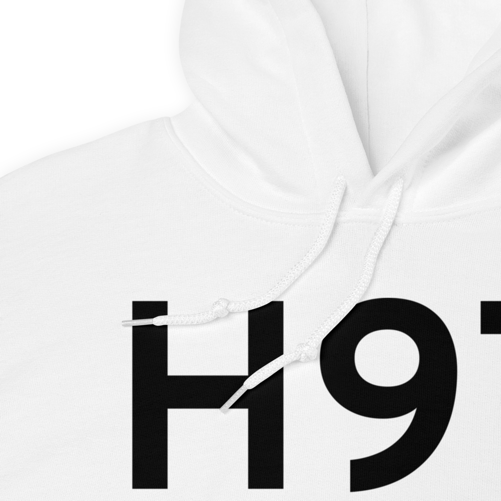 Pawnee (H97) Airport Hoodie Sweatshirt 