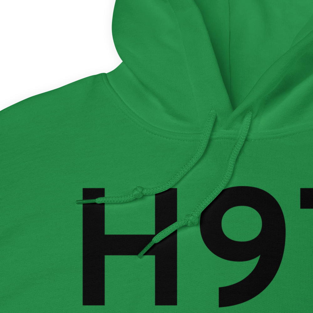 Pawnee (H97) Airport Hoodie Sweatshirt 