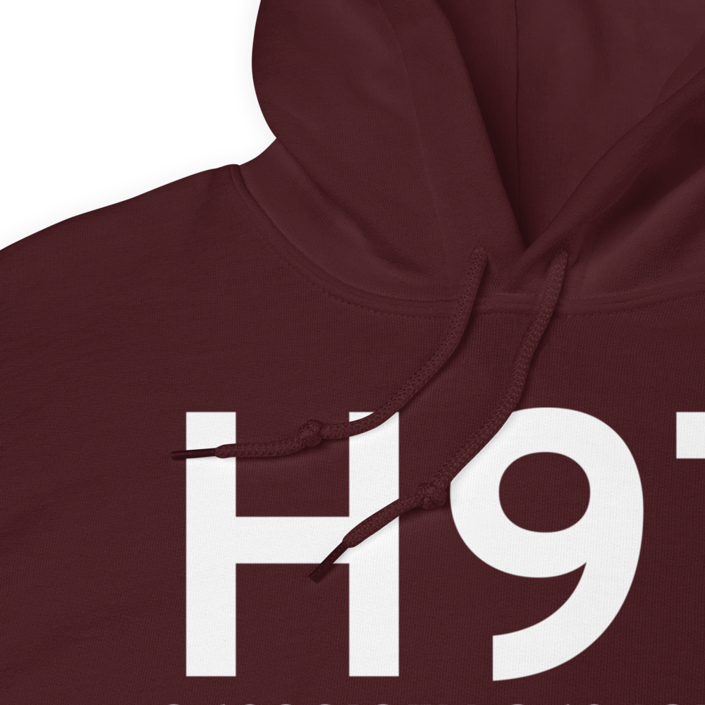 Pawnee (H97) Airport Hoodie Sweatshirt 