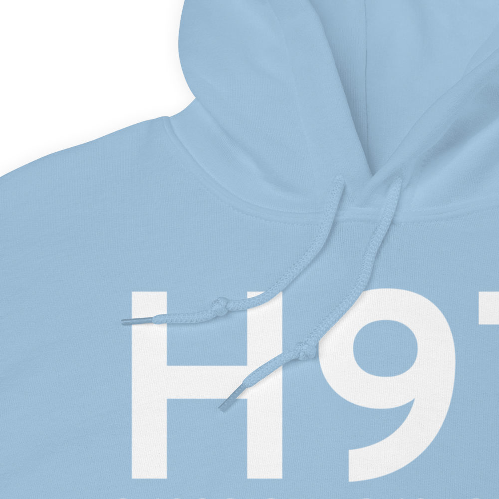 Pawnee (H97) Airport Hoodie Sweatshirt 