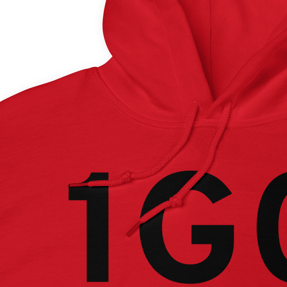 Bowling Green (K1G0) Airport Hoodie Sweatshirt 