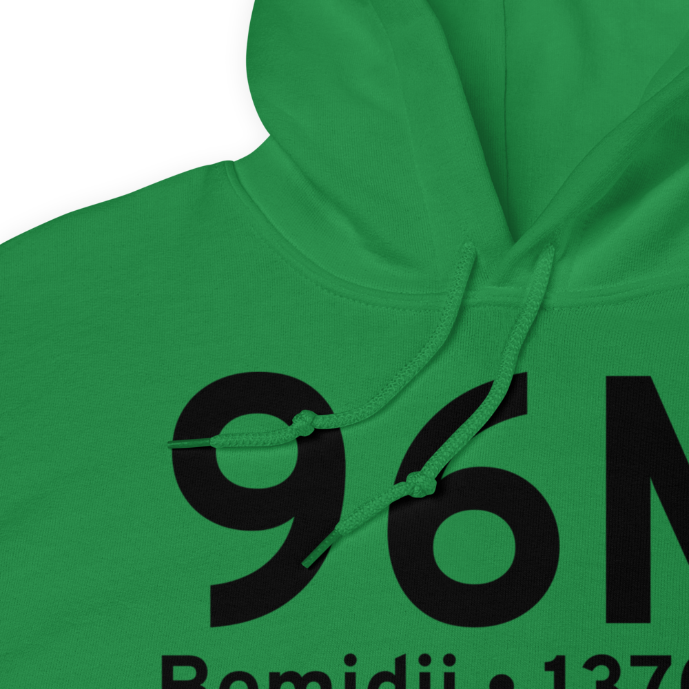 Bemidji (96M) Airport Hoodie Sweatshirt 