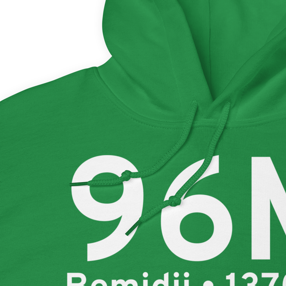 Bemidji (96M) Airport Hoodie Sweatshirt 