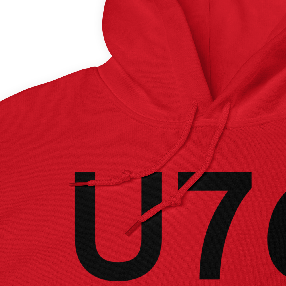 Mountain Home (KU76) Airport Hoodie Sweatshirt 