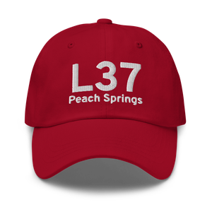 Peach Springs (L37) Airport Hat