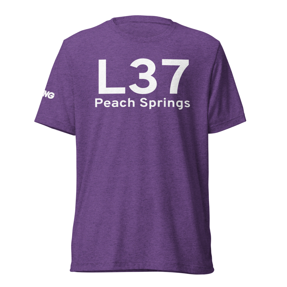 Peach Springs (L37) Airport Tri-blend T-Shirt 