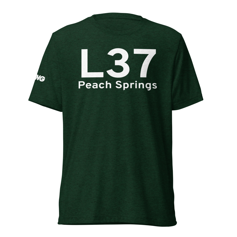 Peach Springs (L37) Airport Tri-blend T-Shirt 