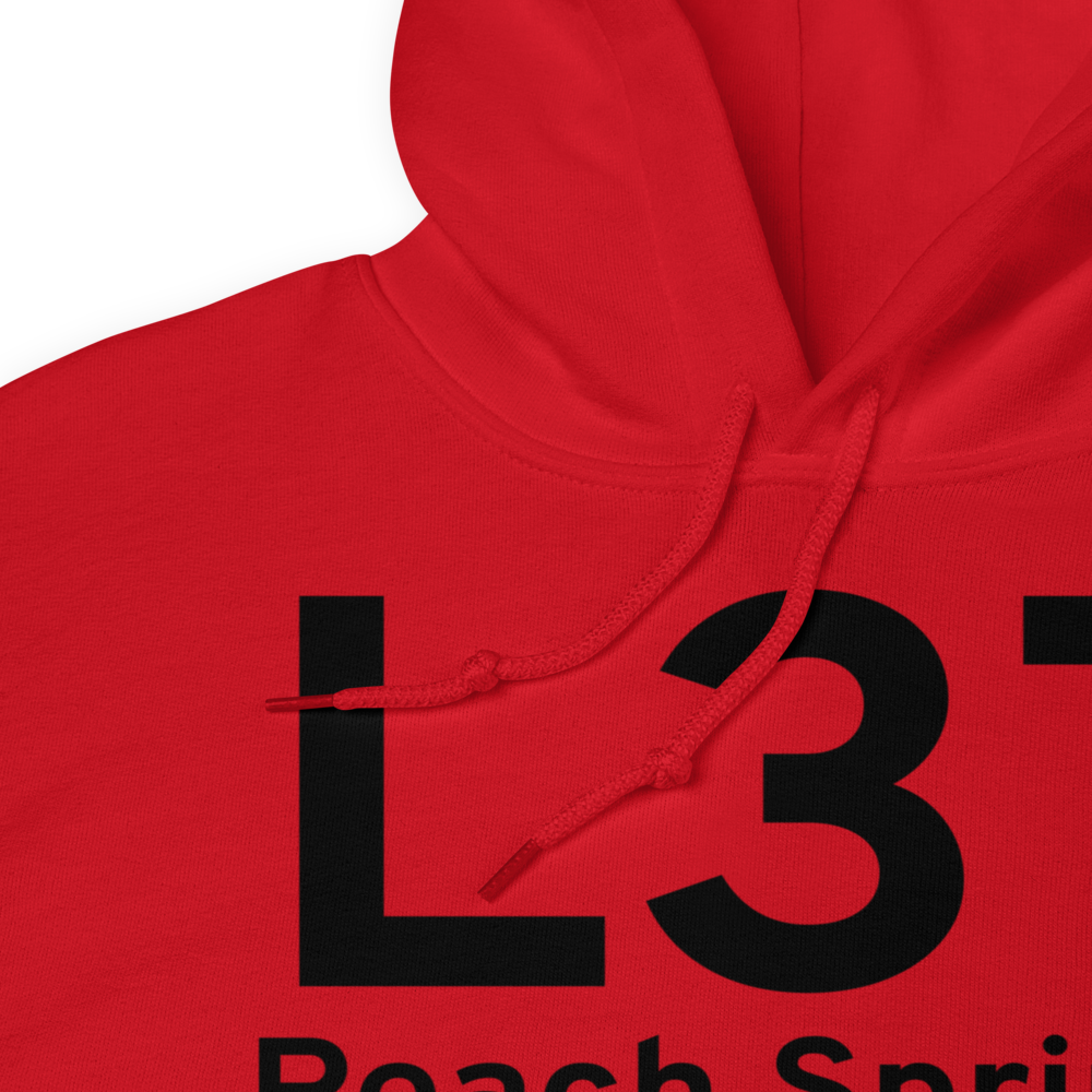 Peach Springs (L37) Airport Hoodie Sweatshirt 