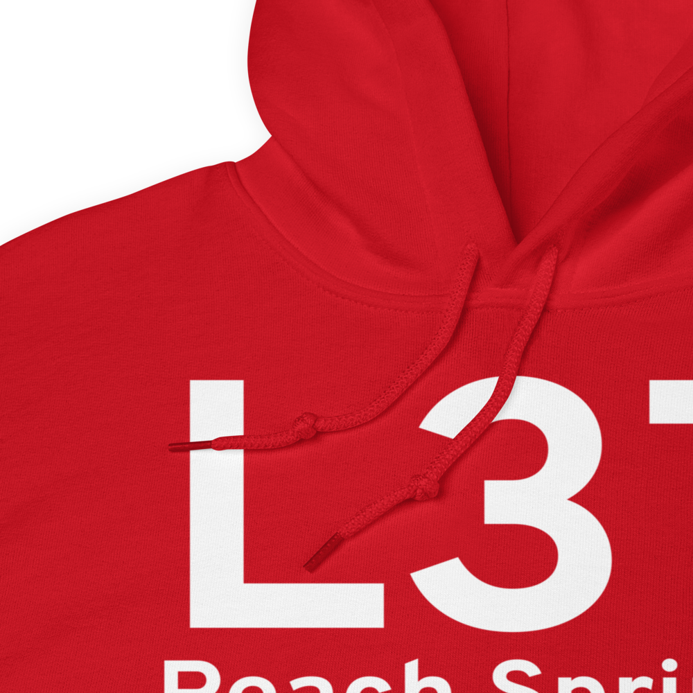 Peach Springs (L37) Airport Hoodie Sweatshirt 