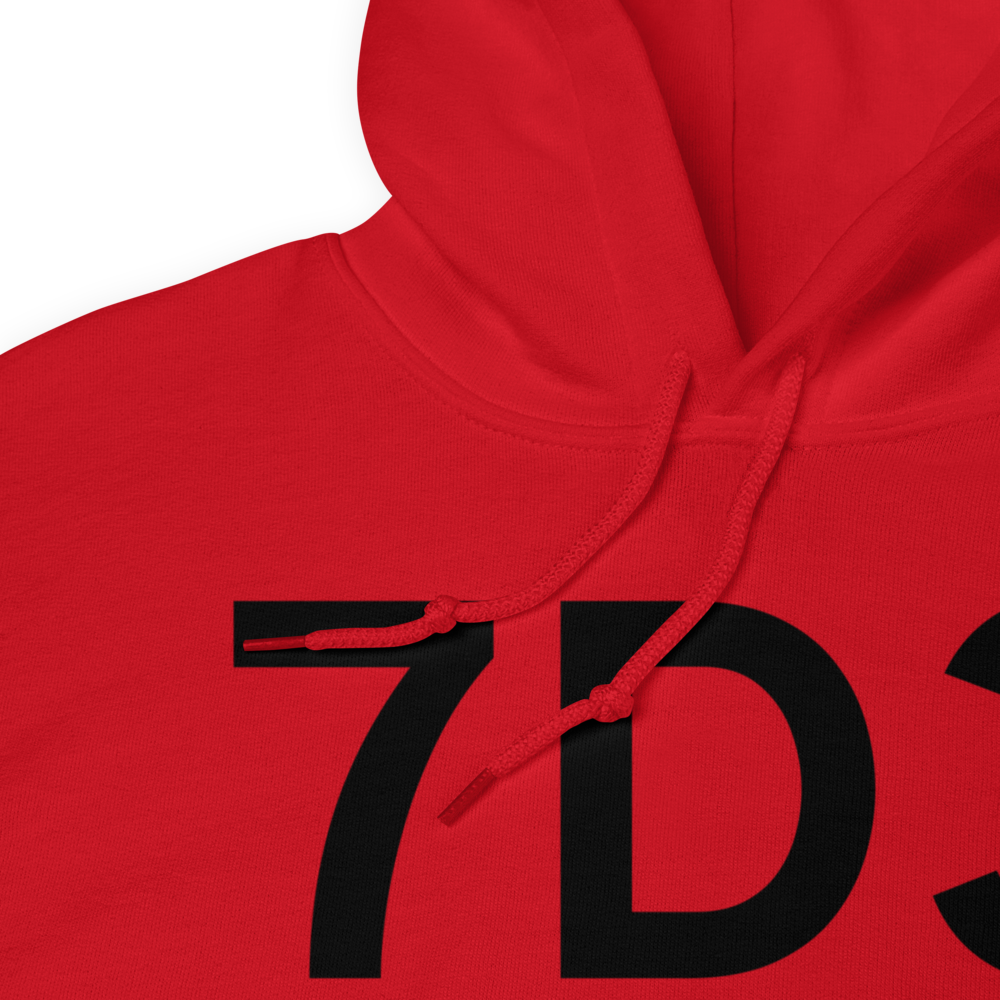 Baldwin (K7D3) Airport Hoodie Sweatshirt 