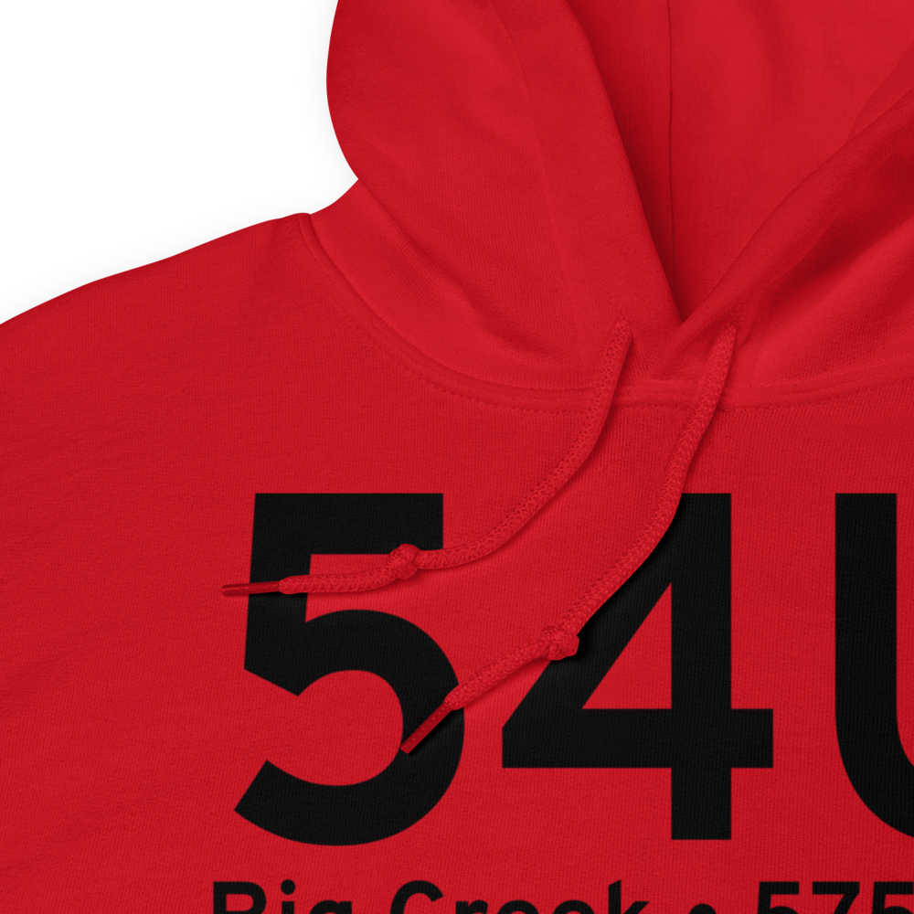 Big Creek (54U) Airport Hoodie Sweatshirt 