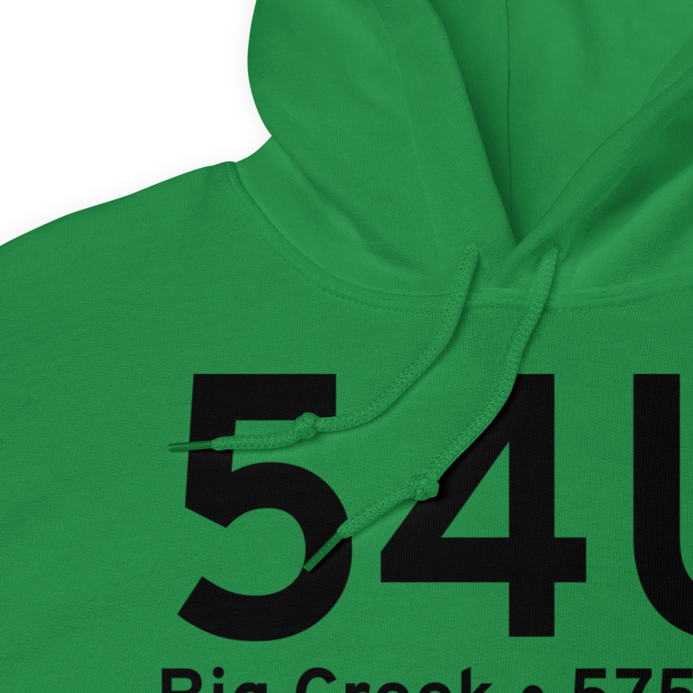 Big Creek (54U) Airport Hoodie Sweatshirt 