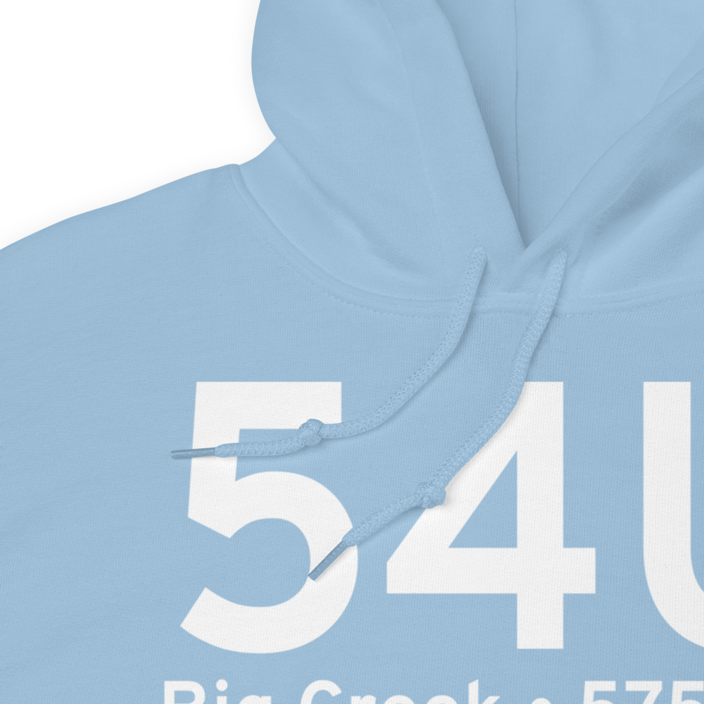 Big Creek (54U) Airport Hoodie Sweatshirt 