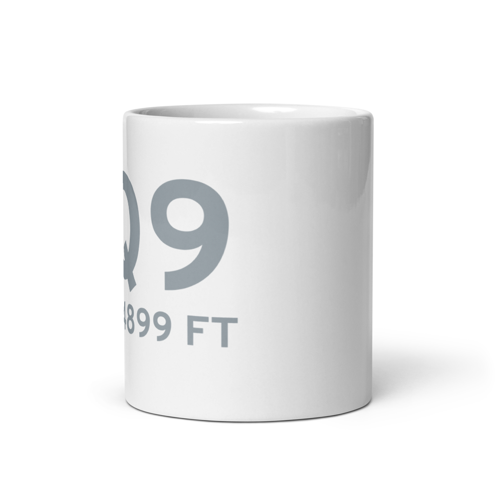 Dyer (2Q9) Airport Mug 