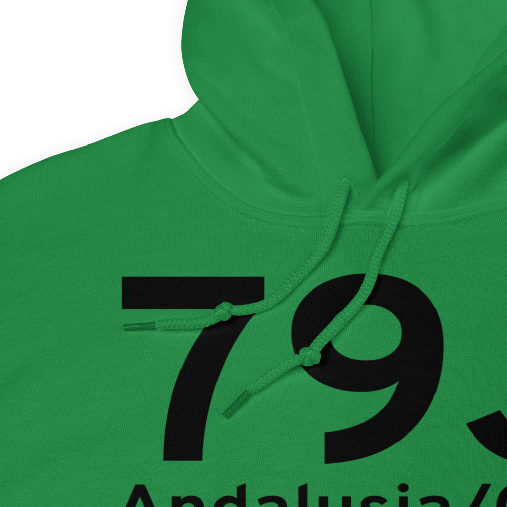 Andalusia/Opp (K79J) Airport Hoodie Sweatshirt 