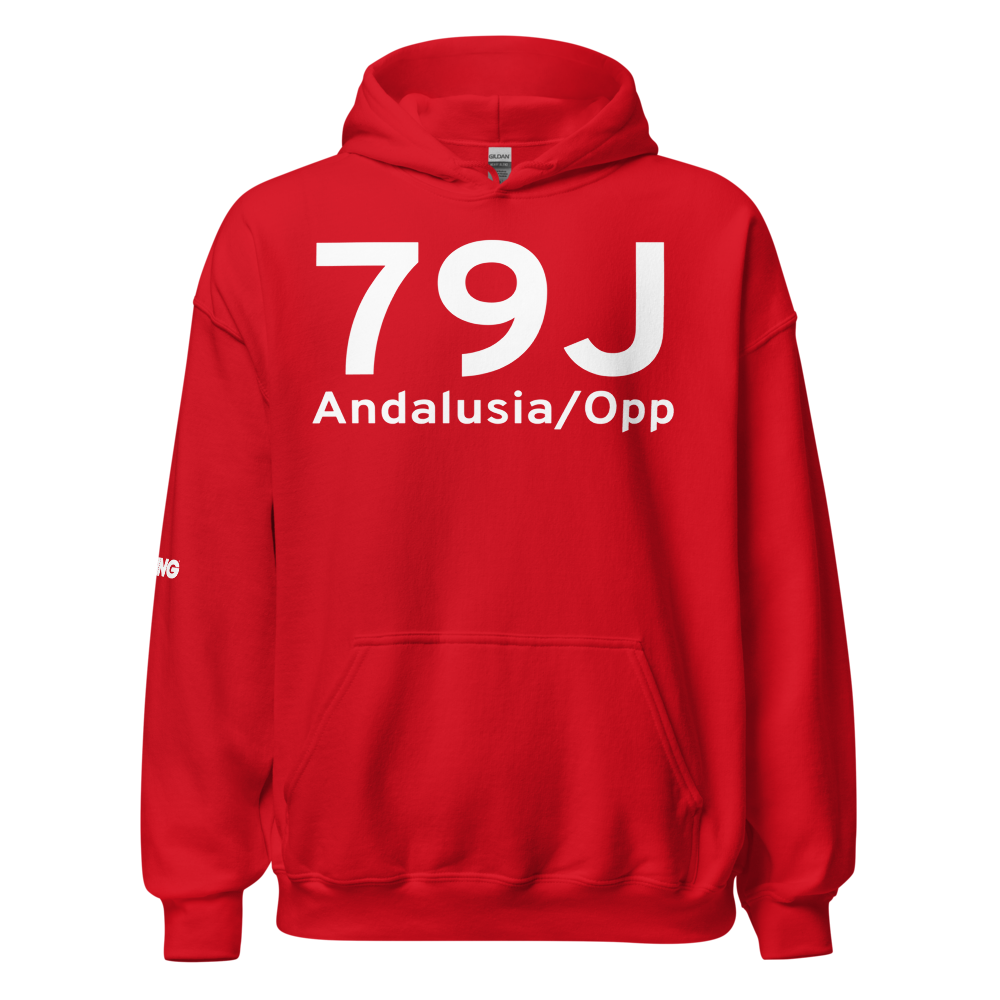 Andalusia/Opp (K79J) Airport Hoodie Sweatshirt 