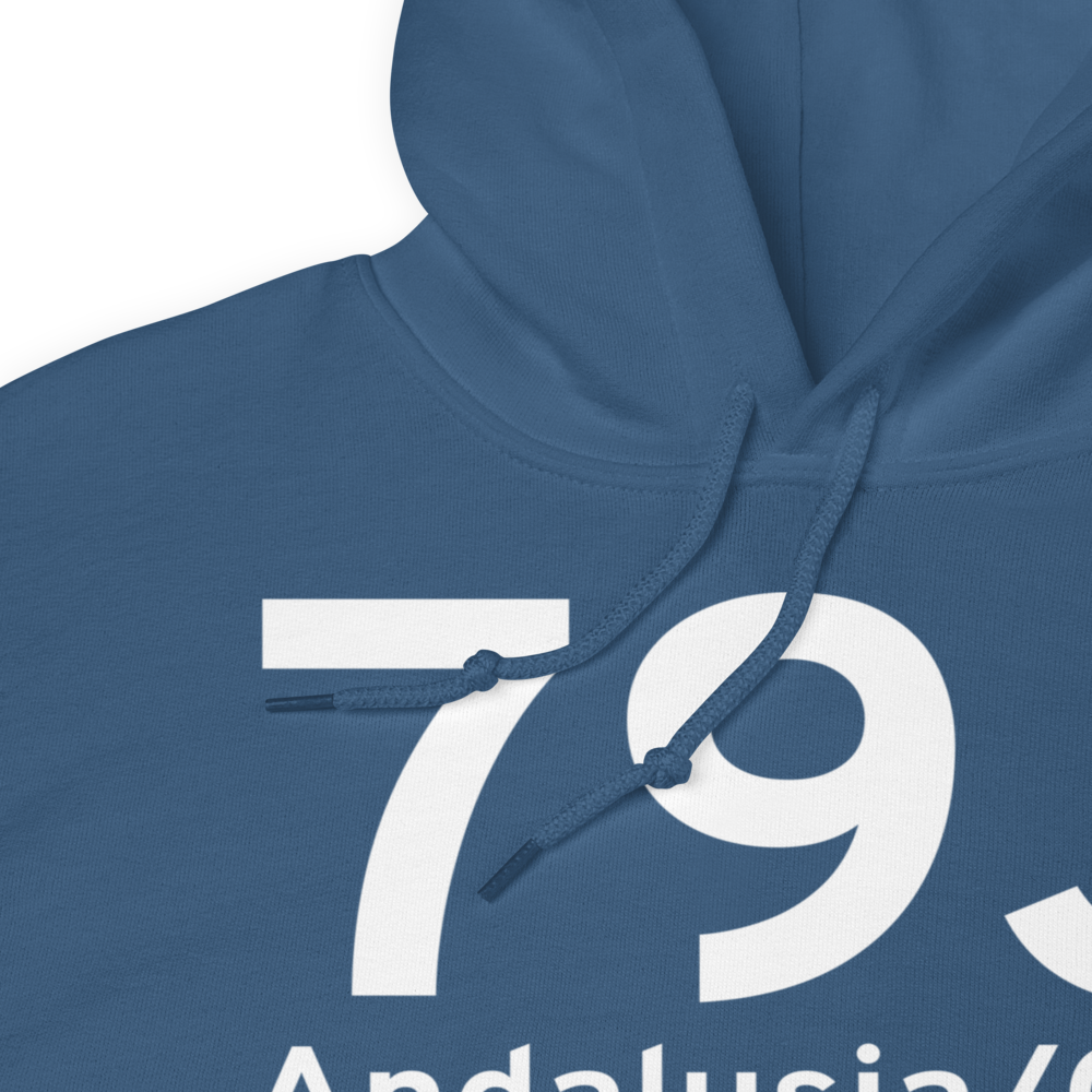 Andalusia/Opp (K79J) Airport Hoodie Sweatshirt 