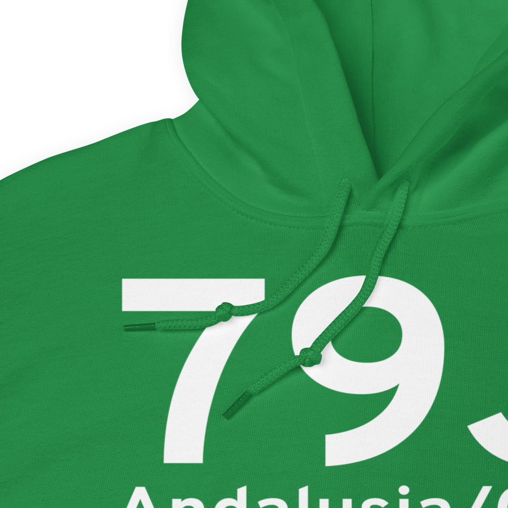 Andalusia/Opp (K79J) Airport Hoodie Sweatshirt 